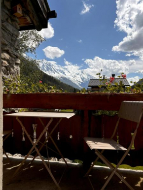 Appartement Chamonix